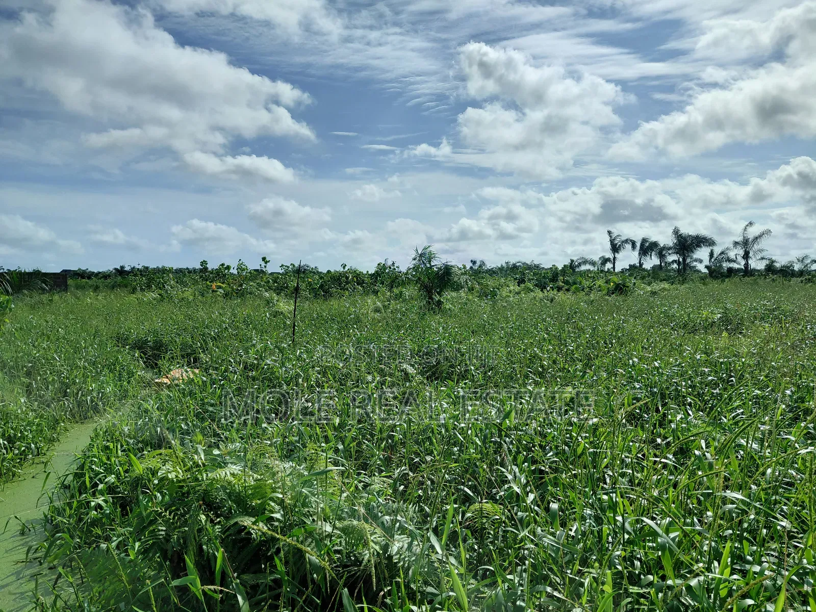 7 Acers of Virgin Land Owode Elede Mile 12 Along