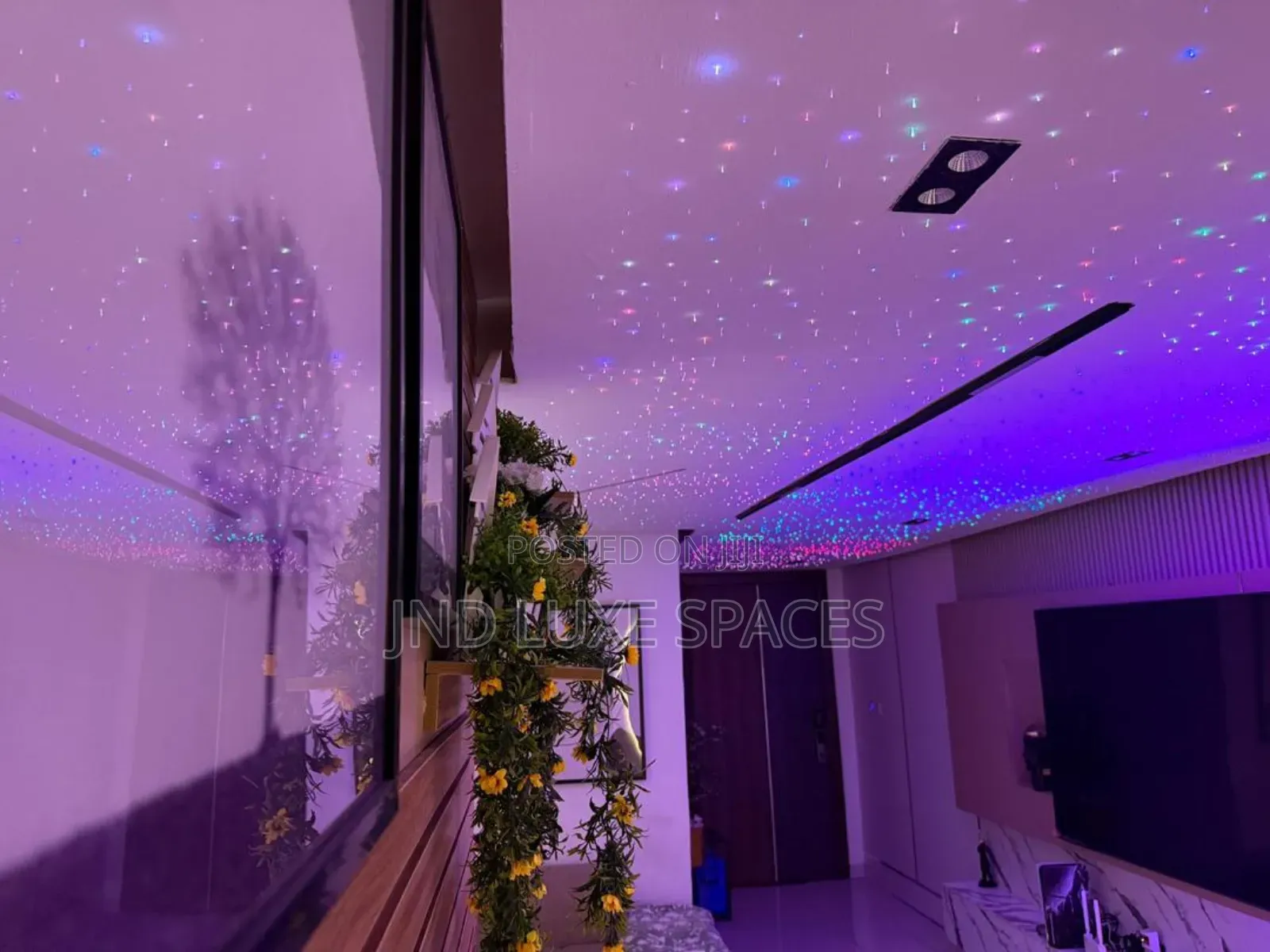 2-Bedroom Starlight Alexa-Powered, Fully Automated, Totally Awesome