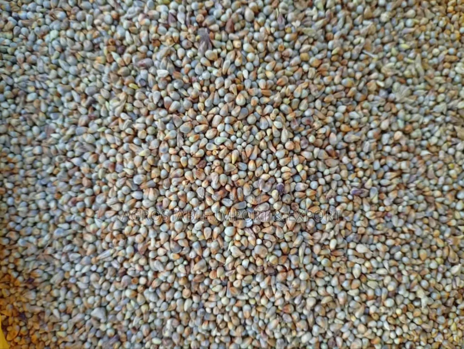 Millet Pack Per Kg