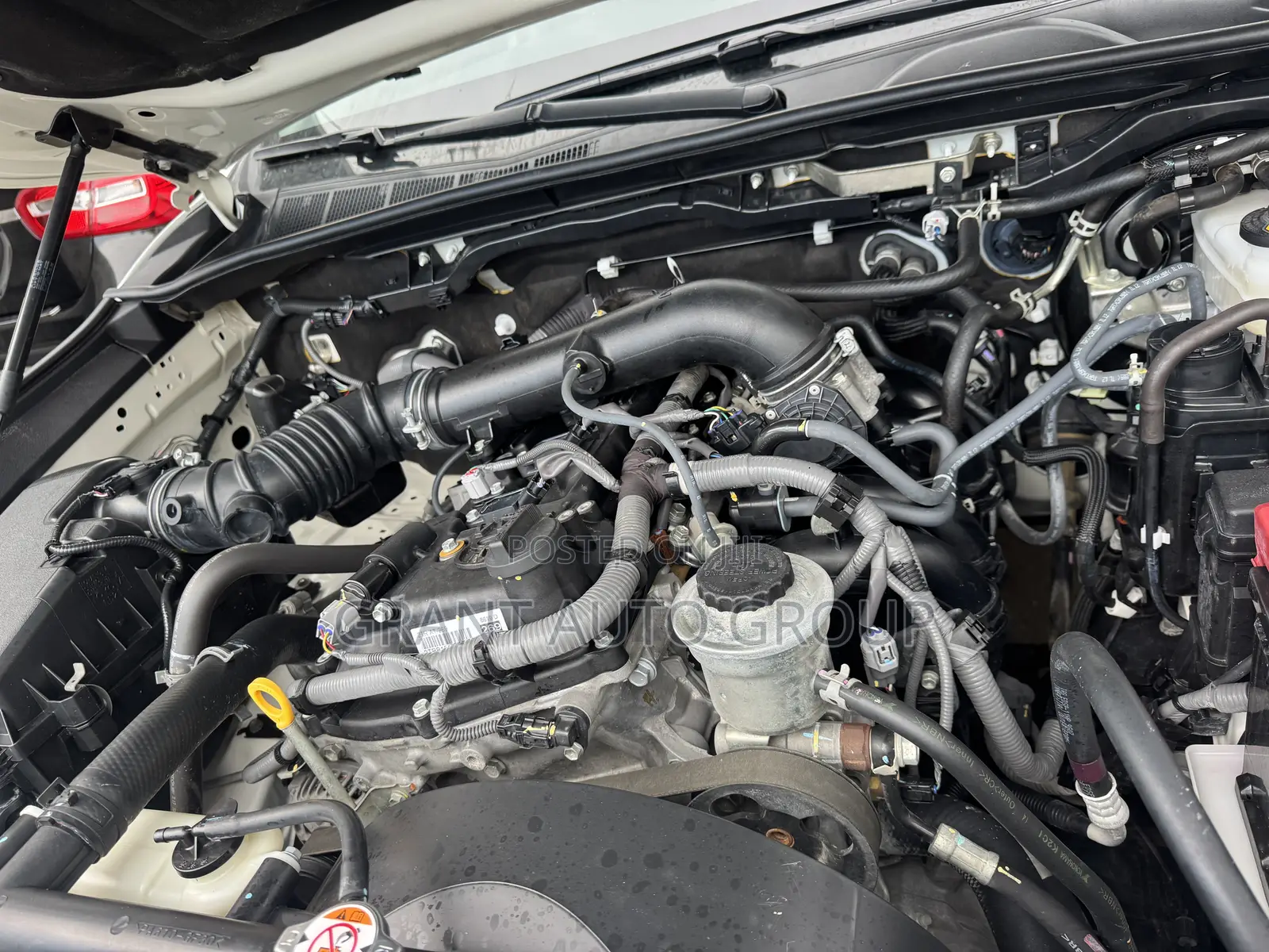 Toyota Hilux 2024 White