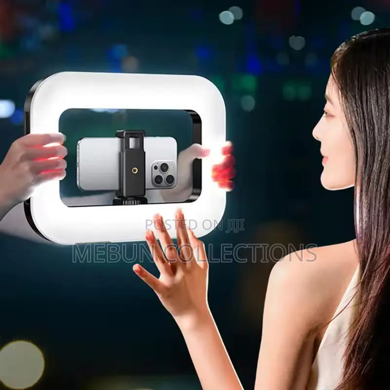 Rechargeable Handheld Light