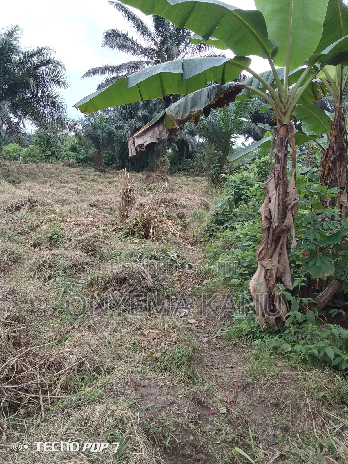 2 Plots at Imo River Town.