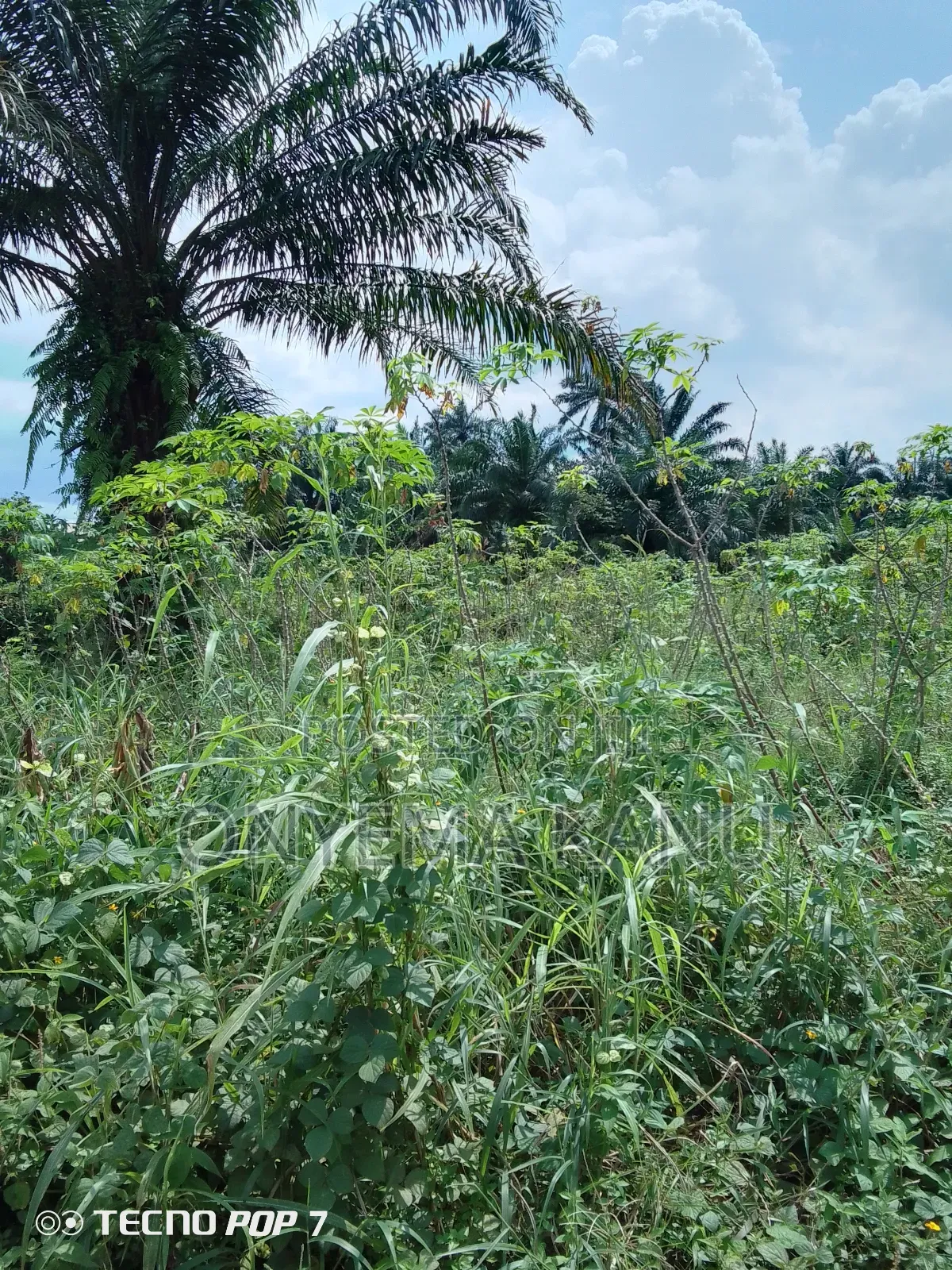 2 Plots at Imo River Town.