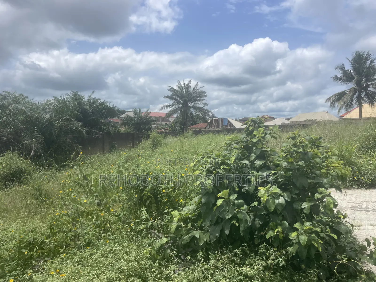 Fenced and Gated Standard Plot of Land at a Mini Estate at Jankanka
