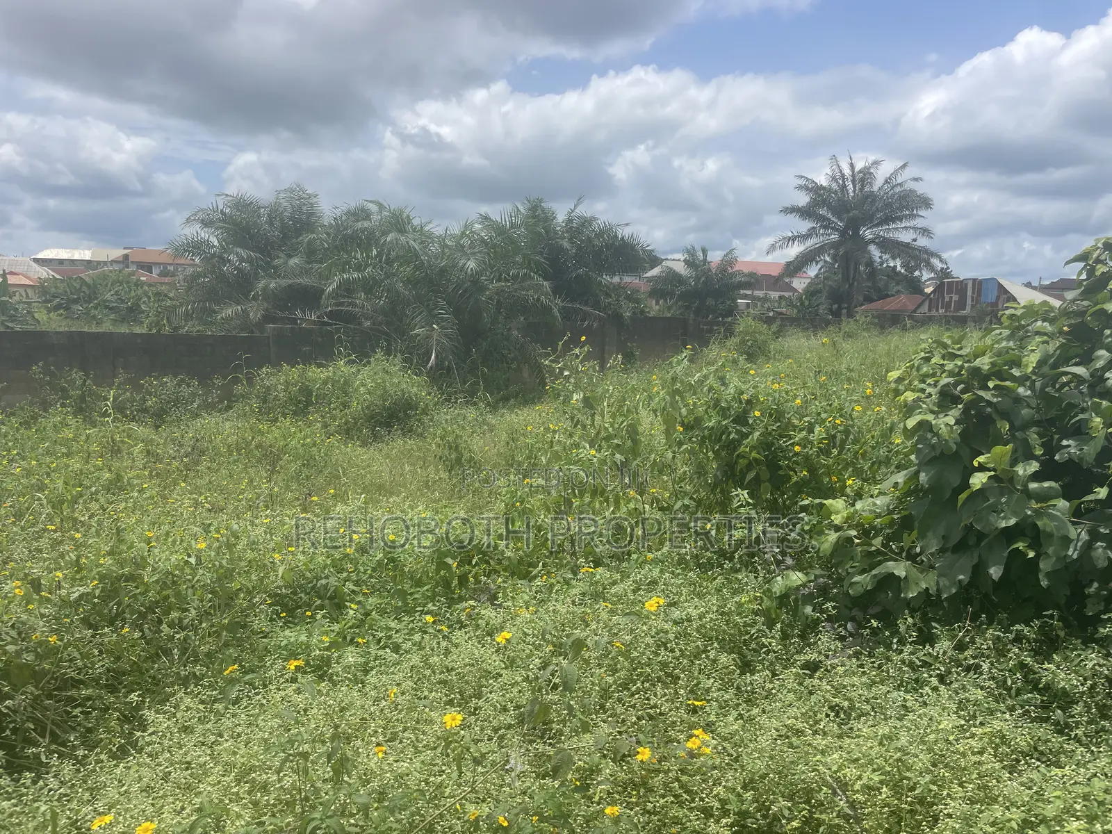 Fenced and Gated Standard Plot of Land at a Mini Estate at Jankanka