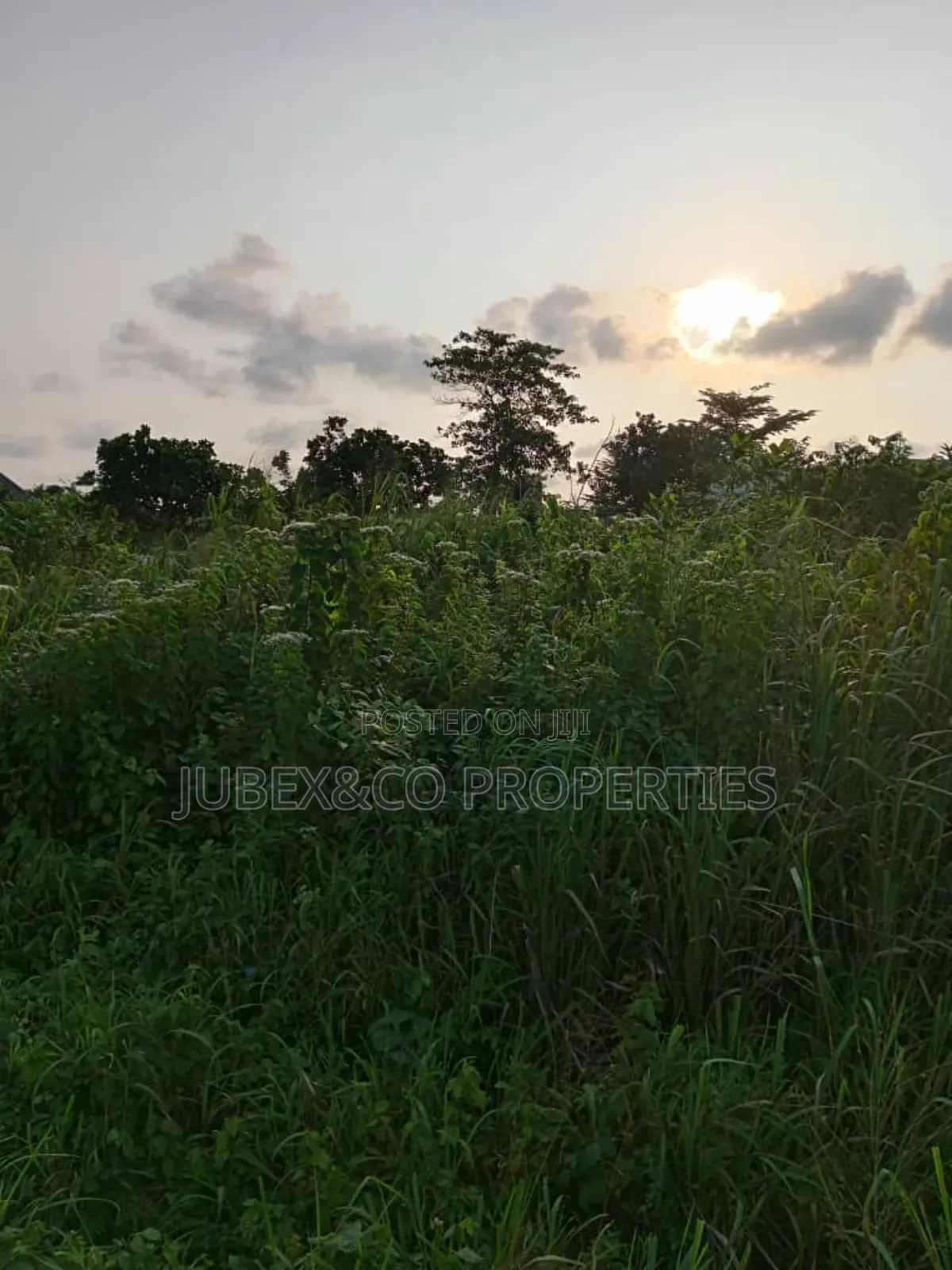 11 Acres for Farm Land at Ilaro