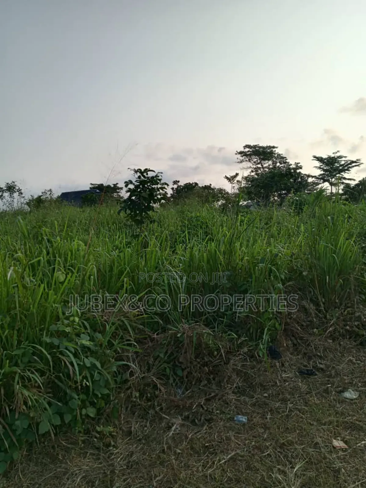 11 Acres for Farm Land at Ilaro