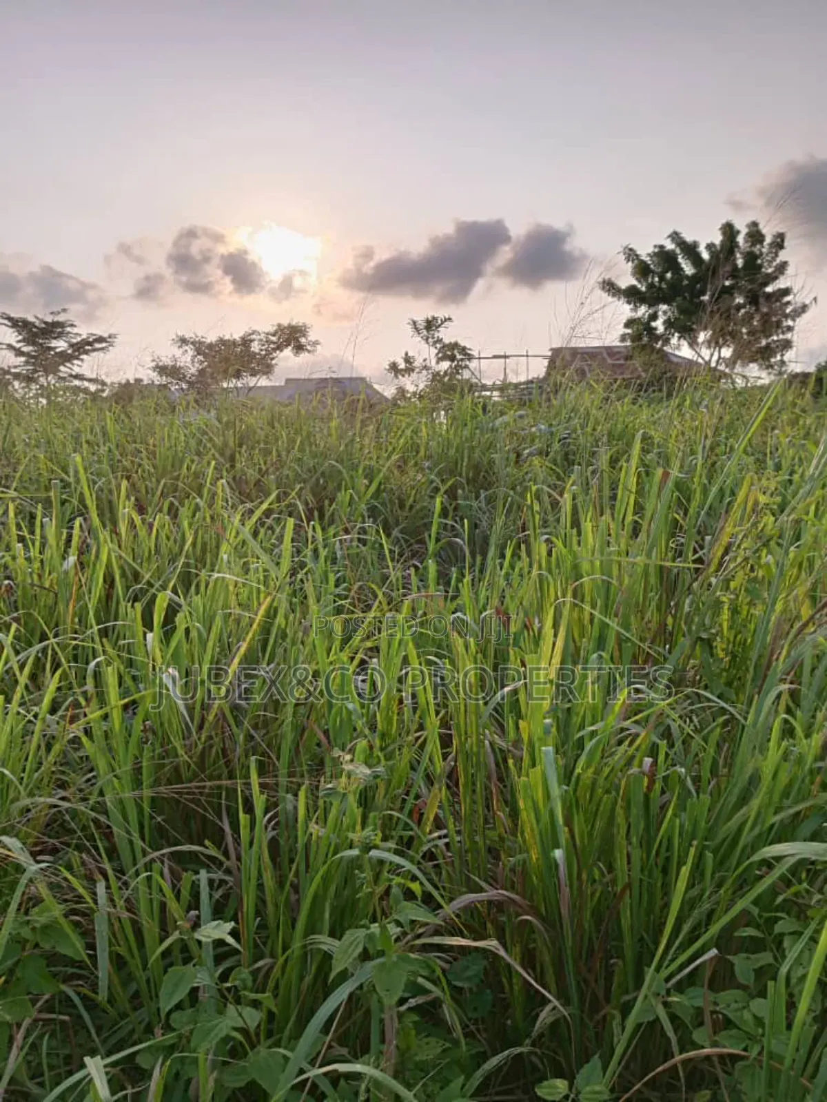11 Acres for Farm Land at Ilaro