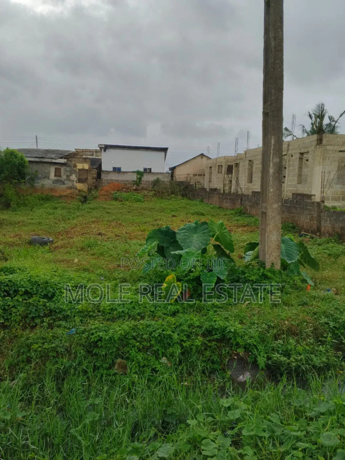 30ft by 120ft Half Plot Baptist Bustop Ijegemo New Expressway