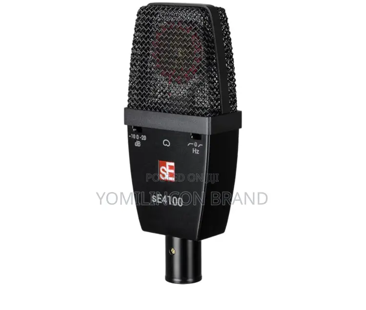 Se Electronics Se4100 Large-Diaphragm Condenser Microphone