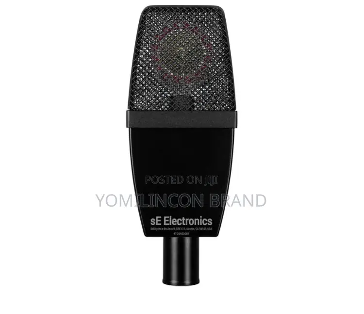 Se Electronics Se4100 Large-Diaphragm Condenser Microphone