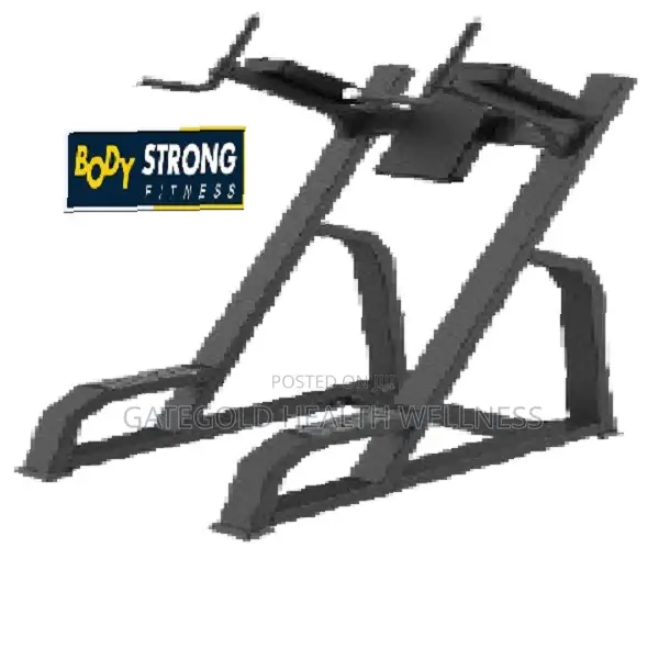 A-027/A027 Chin Up/Vertical Knees Raise/Leg Raise (Body Strong Brand)