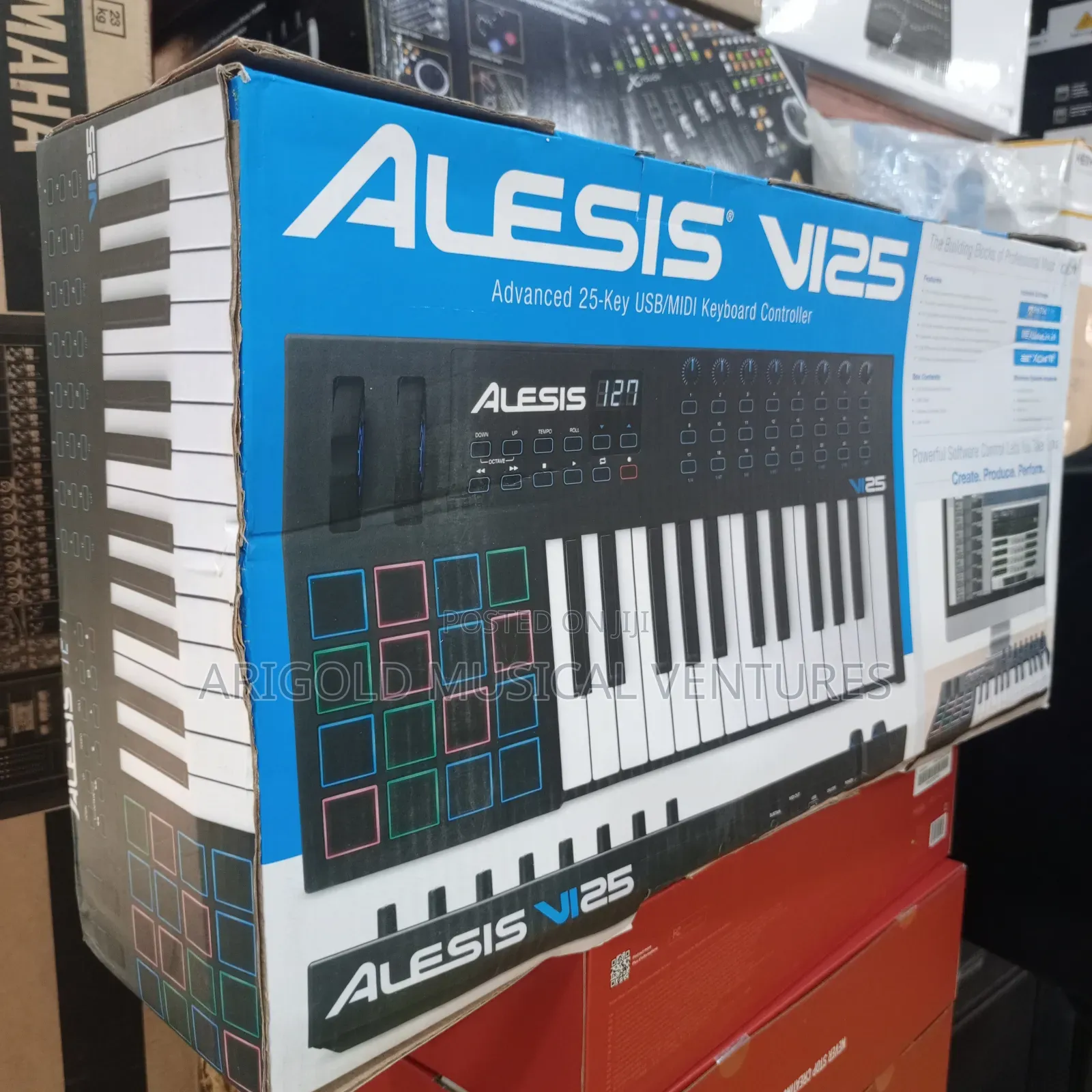 Alesis Professional Studio Keyboard Vi25 Big Name  