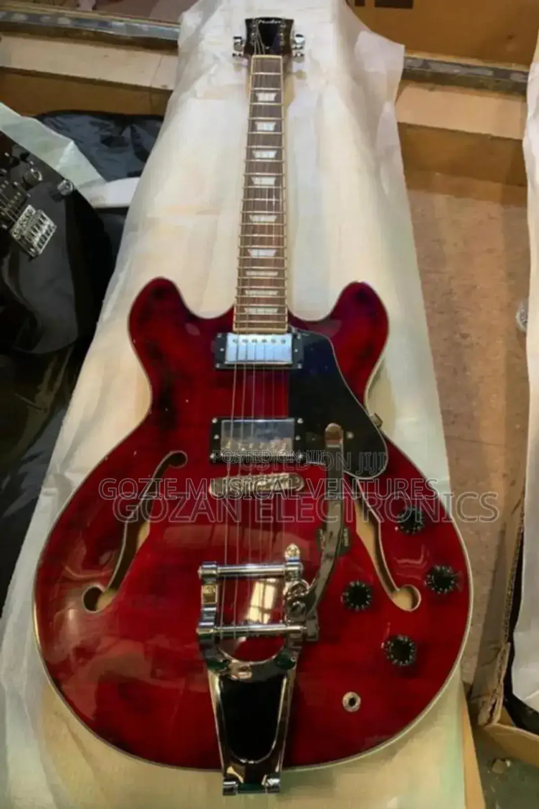 Fender Semi_semi Hollow Body Electric Guitar