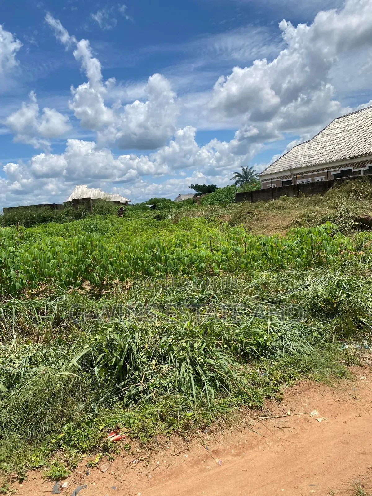 100ft by 100ft for Sale at Ogheghe Sapele Road