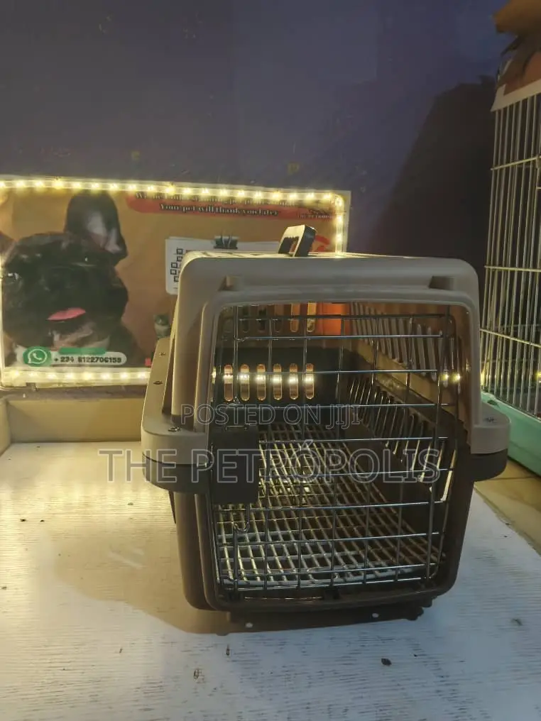 Collapsible Dog Cat Cage and Carrier