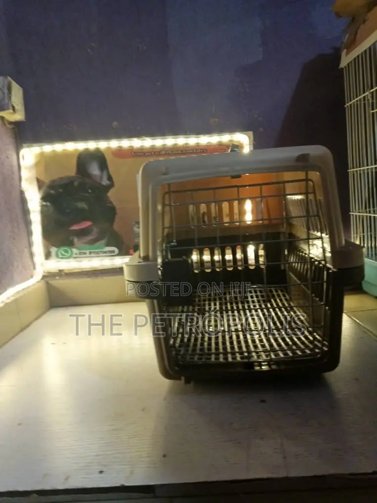 Collapsible Dog Cat Cage and Carrier