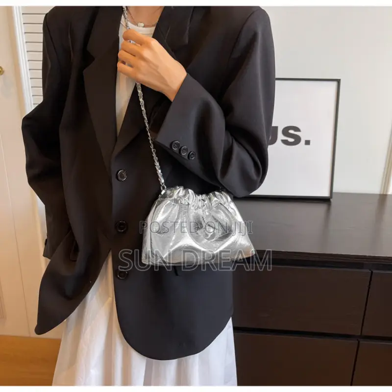 Silver Bag Lady Handbag Lady Bags
