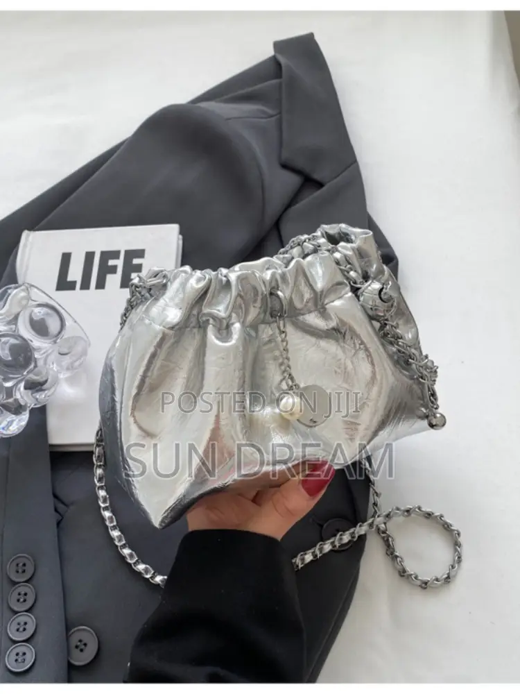 Silver Bag Lady Handbag Lady Bags
