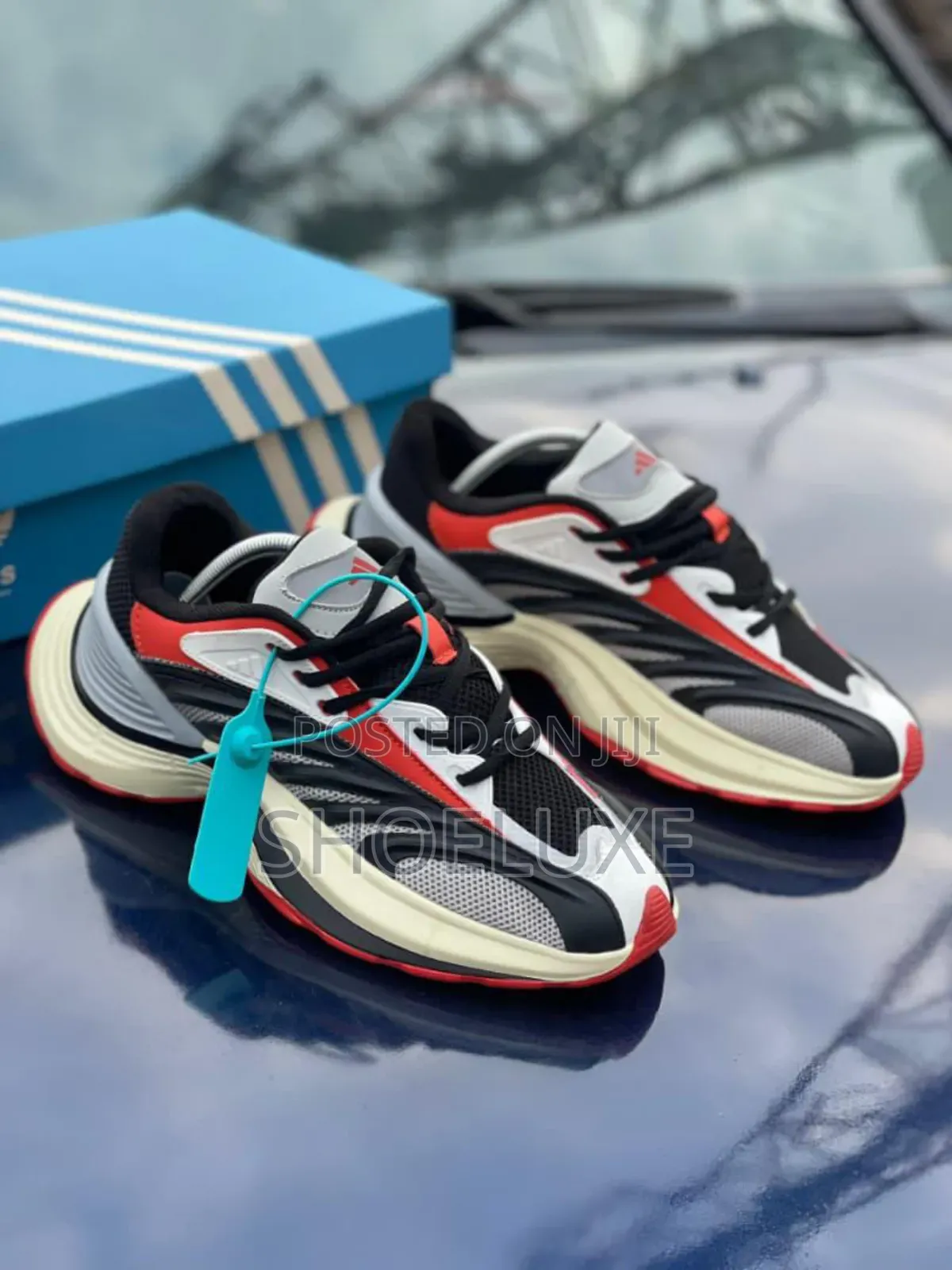 Limited Edition Adidas Sneaker