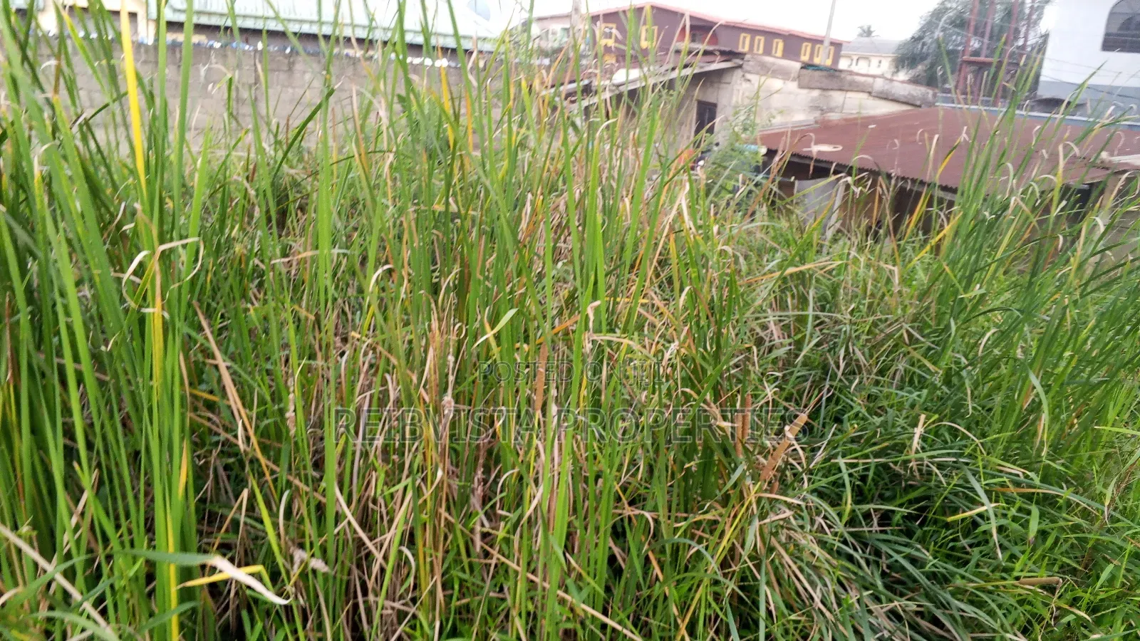 Fenced and Gated Land in Irawo