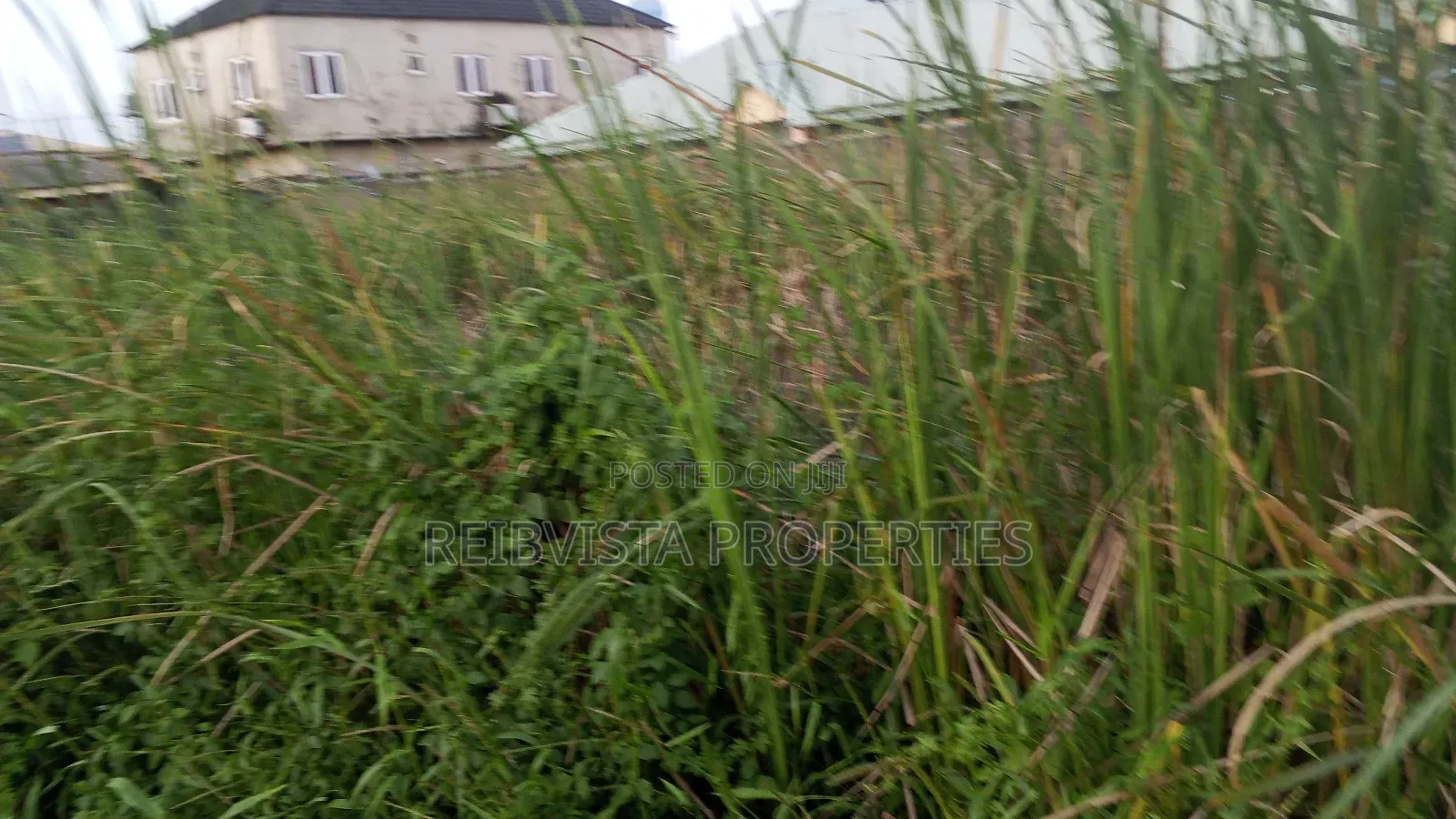 Fenced and Gated Land in Irawo