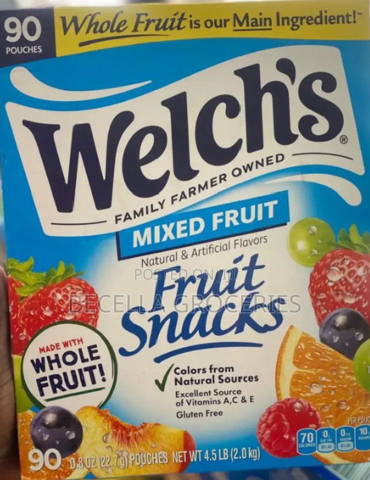 Welch's Fruit Snacks 90 Pouches