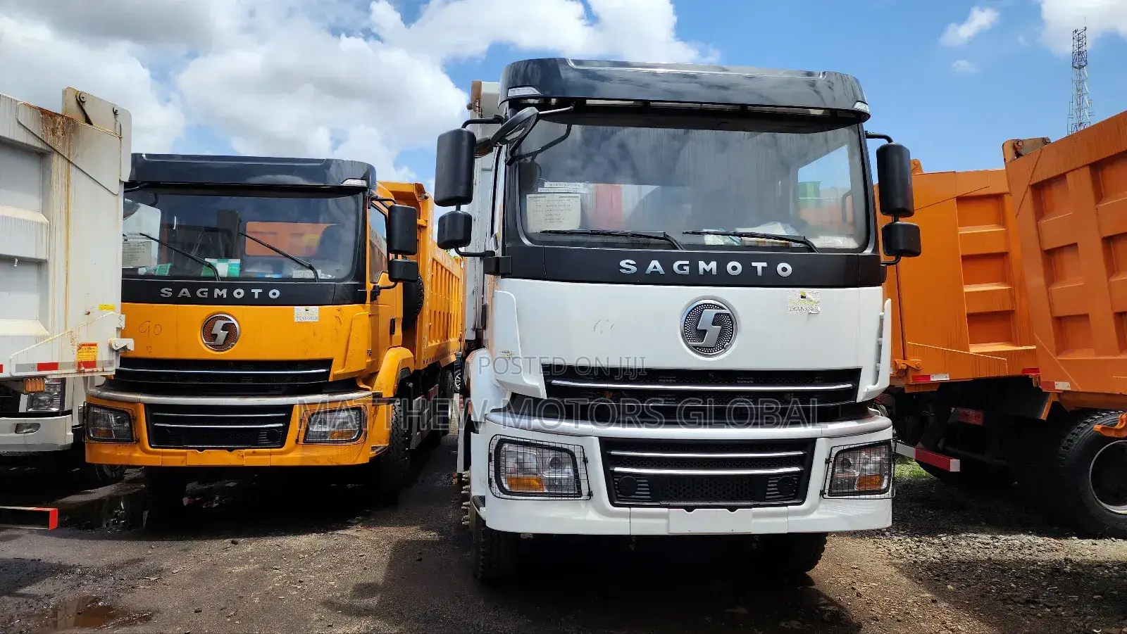 Brand New Sagmoto 10 Tyres Dump Truck