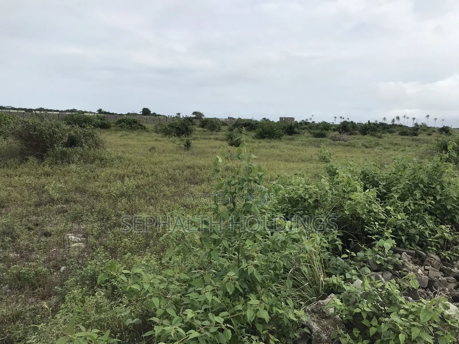 Jasper Smart City Phase 3 Now Selling | Limited Plots Available.