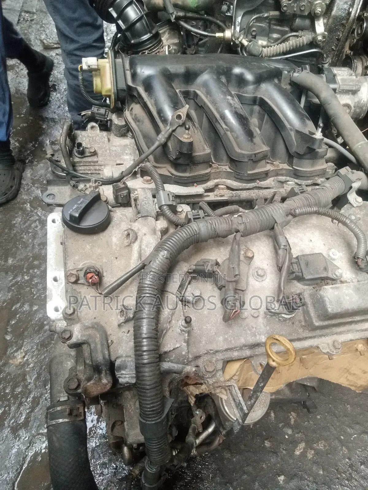 Toyota Highlander, Camry, Ray4