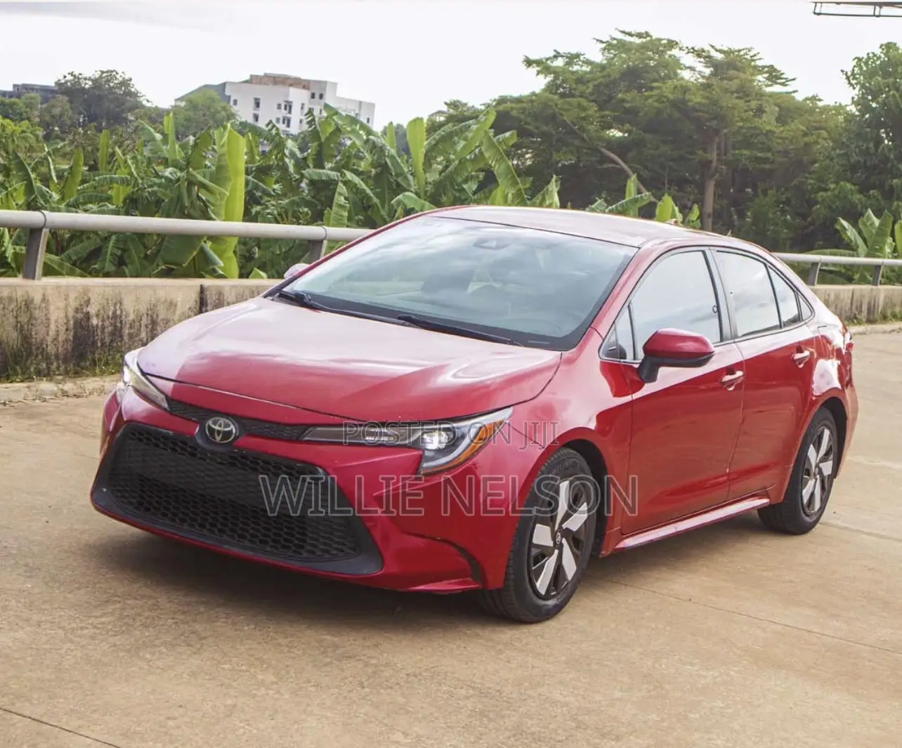 Toyota Corolla LE 2020 Red
