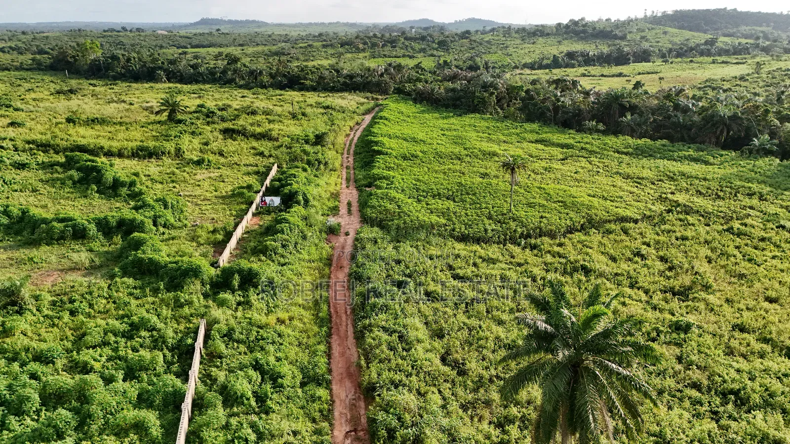 Hot 50 Acres Land