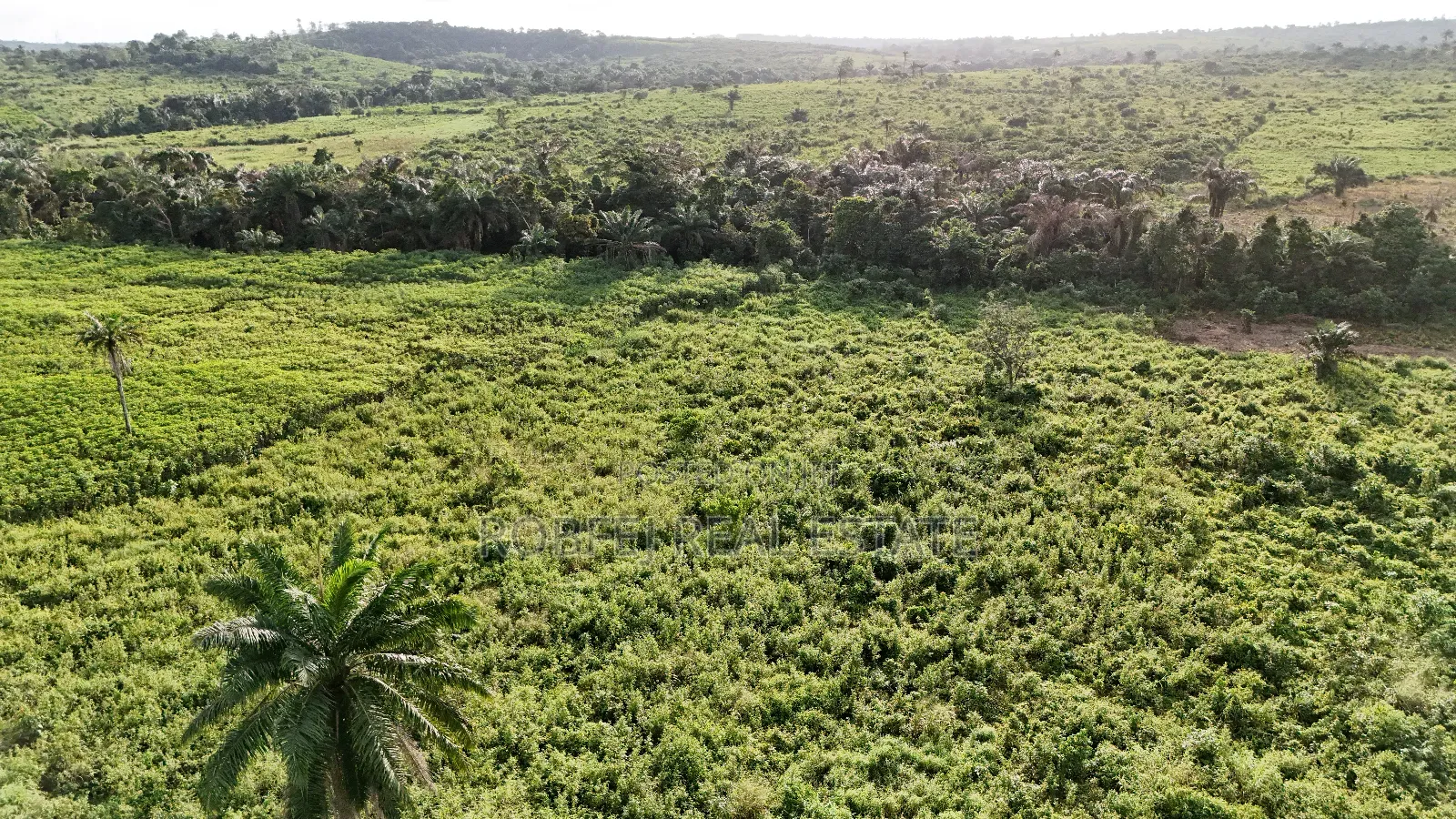 Hot 50 Acres Land