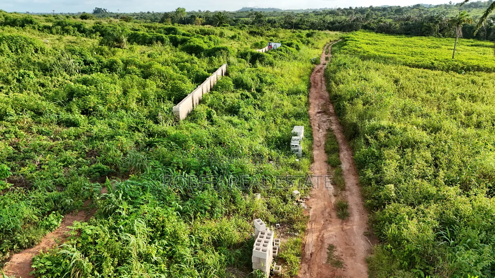 Hot 50 Acres Land