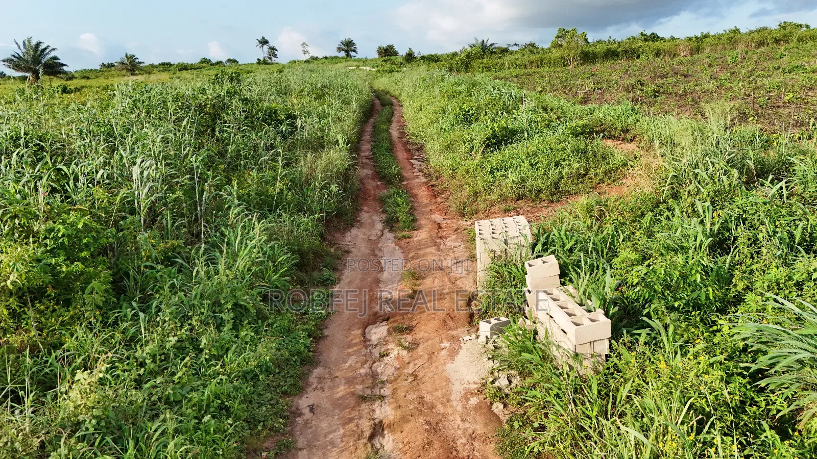 Hot 50 Acres Land