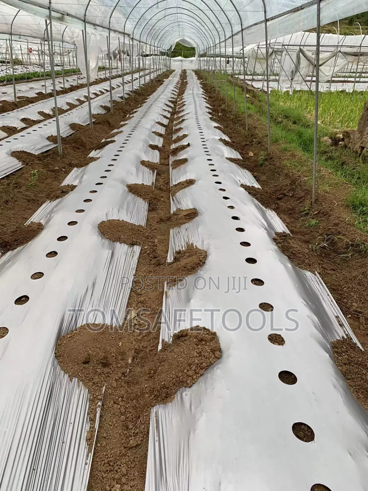 Mulch Film Nylon 1.2meter By 500meter