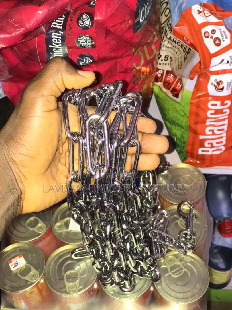 Durable Dog Chain – Strong Metal Leash for All Dog Sizes