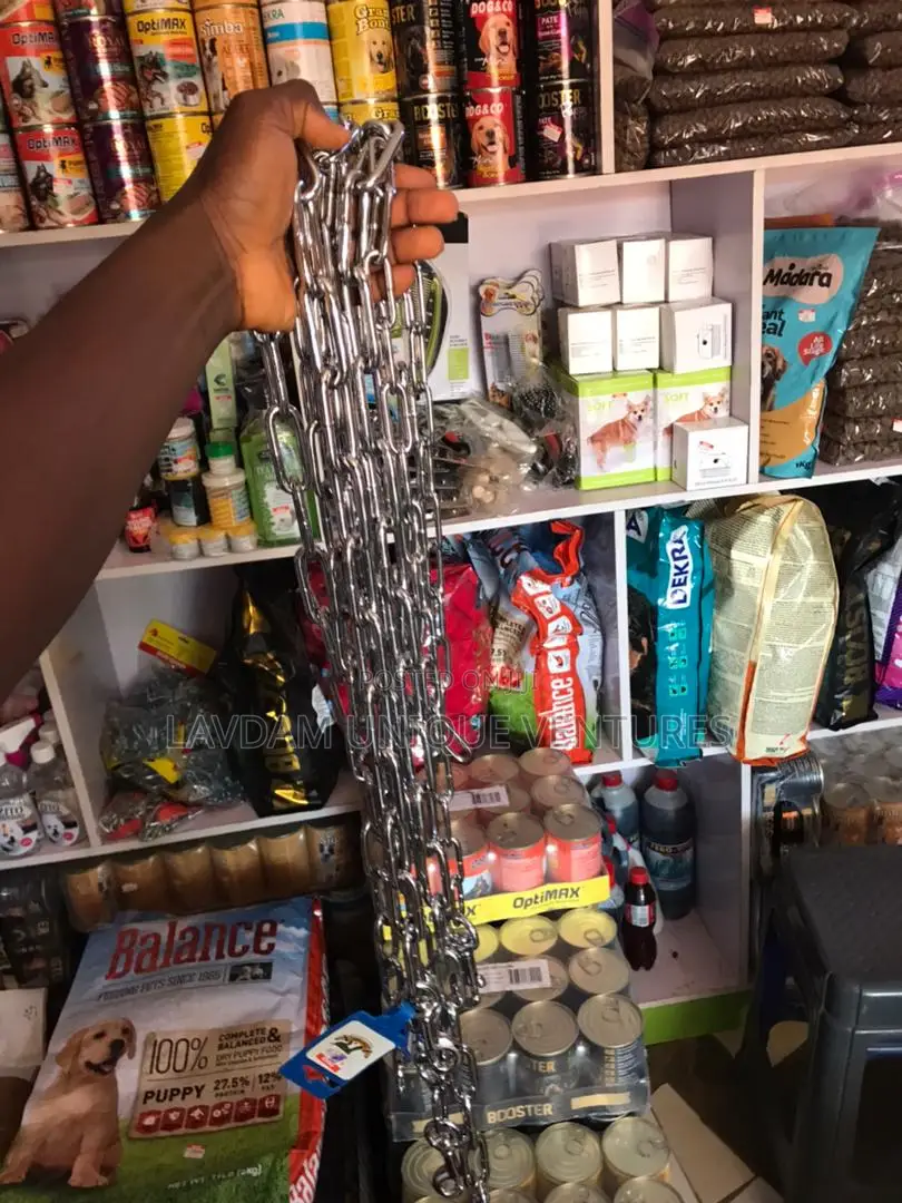 Durable Dog Chain – Strong Metal Leash for All Dog Sizes
