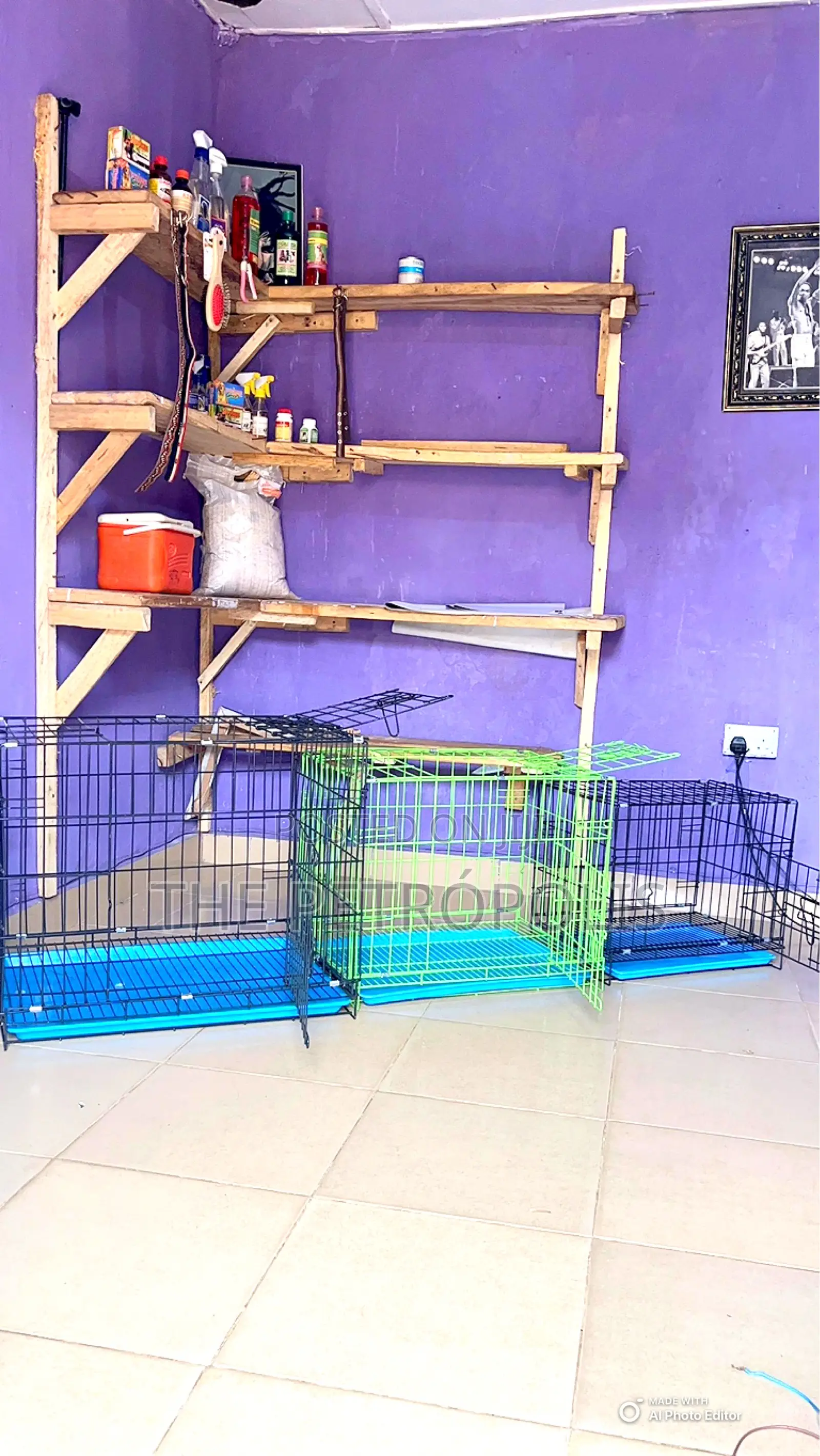 Collapsible Dog Cage and Carrier Sizes 1 2 3 4