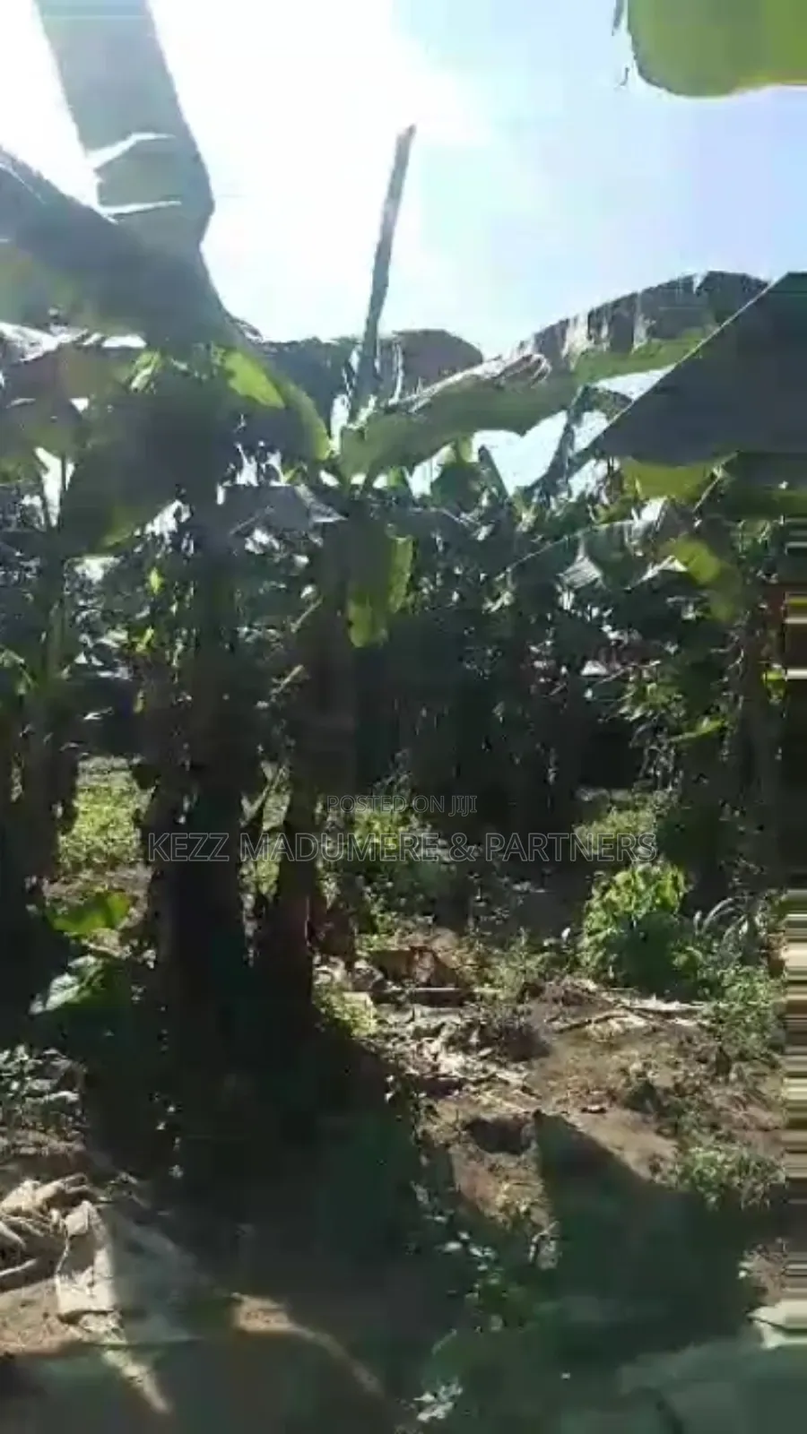For Sale : Fenced With Gate 4 Plots at Rumuaghulu, Port Harcourt