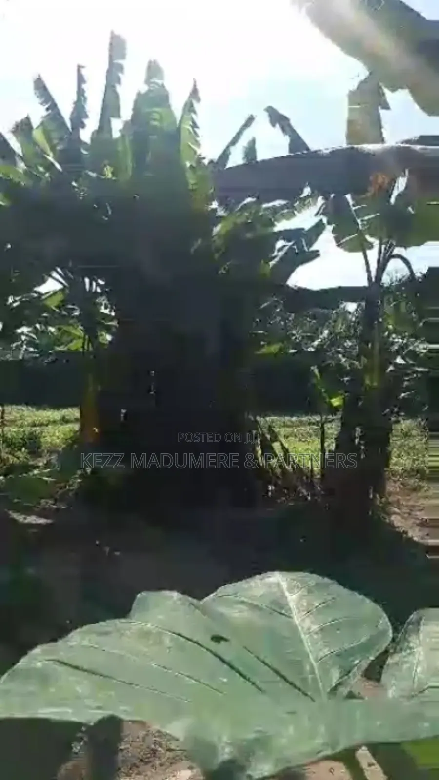 For Sale : Fenced With Gate 4 Plots at Rumuaghulu, Port Harcourt