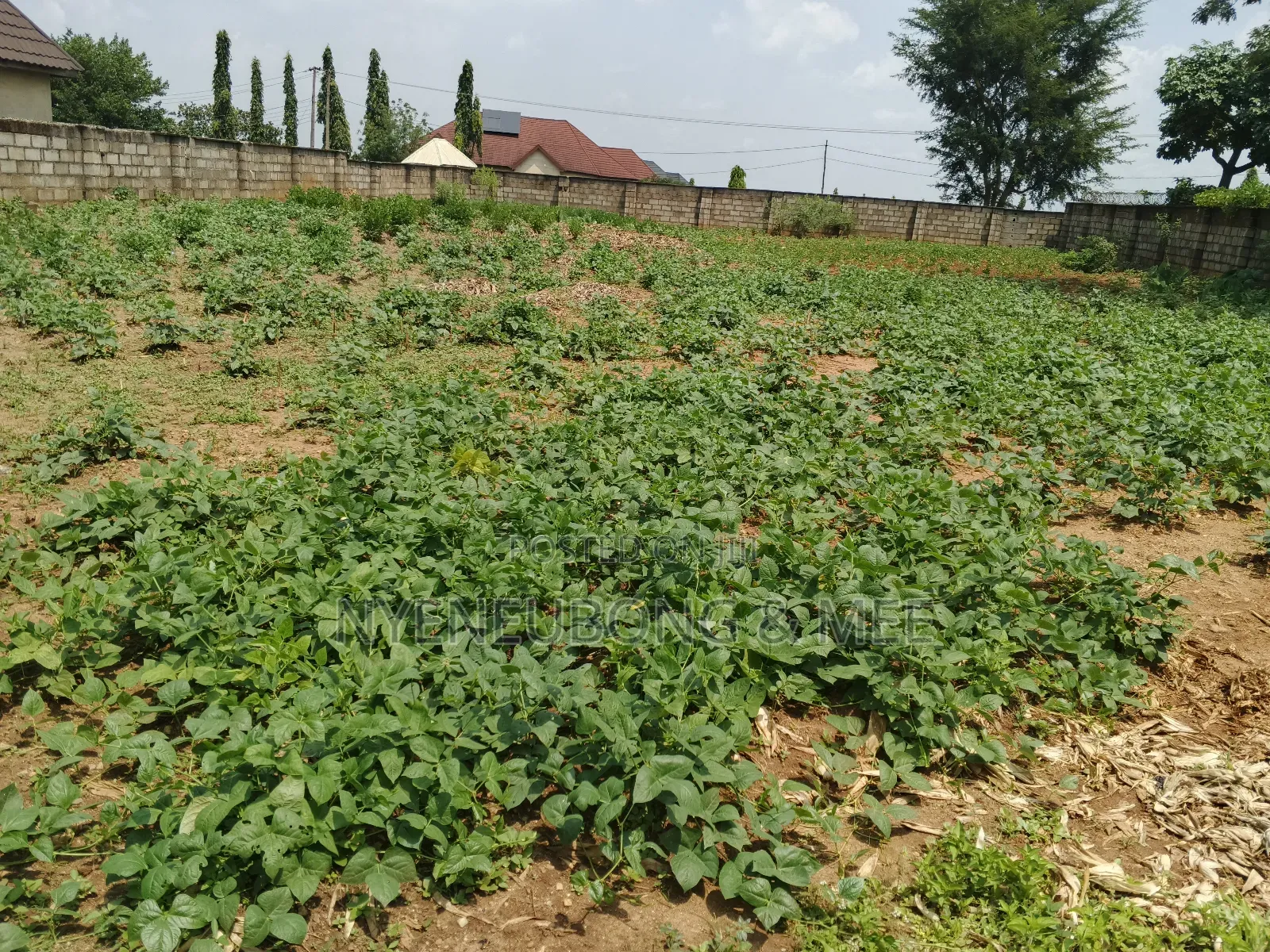 1500sqm Land for Sale