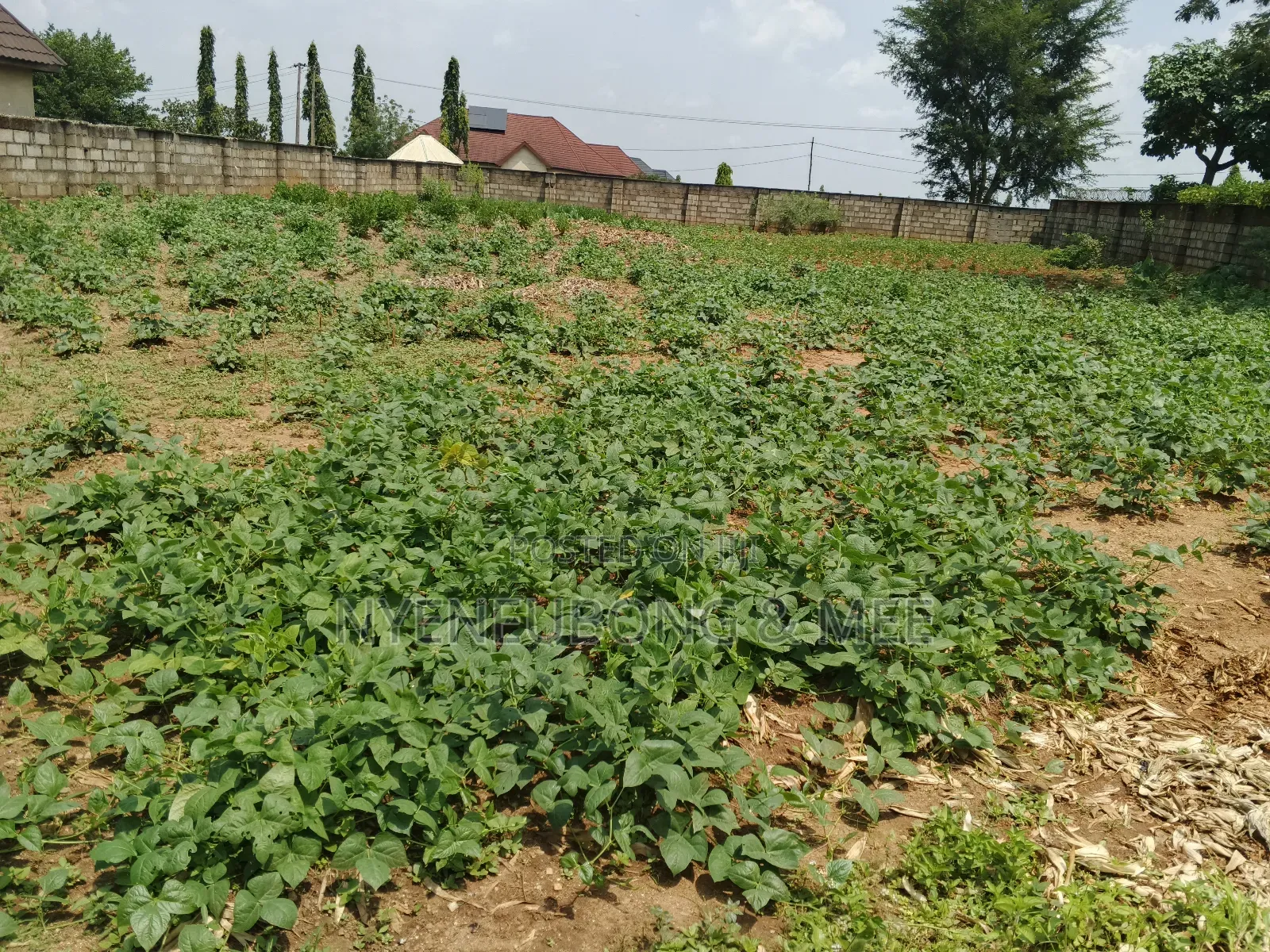 1500sqm Land for Sale