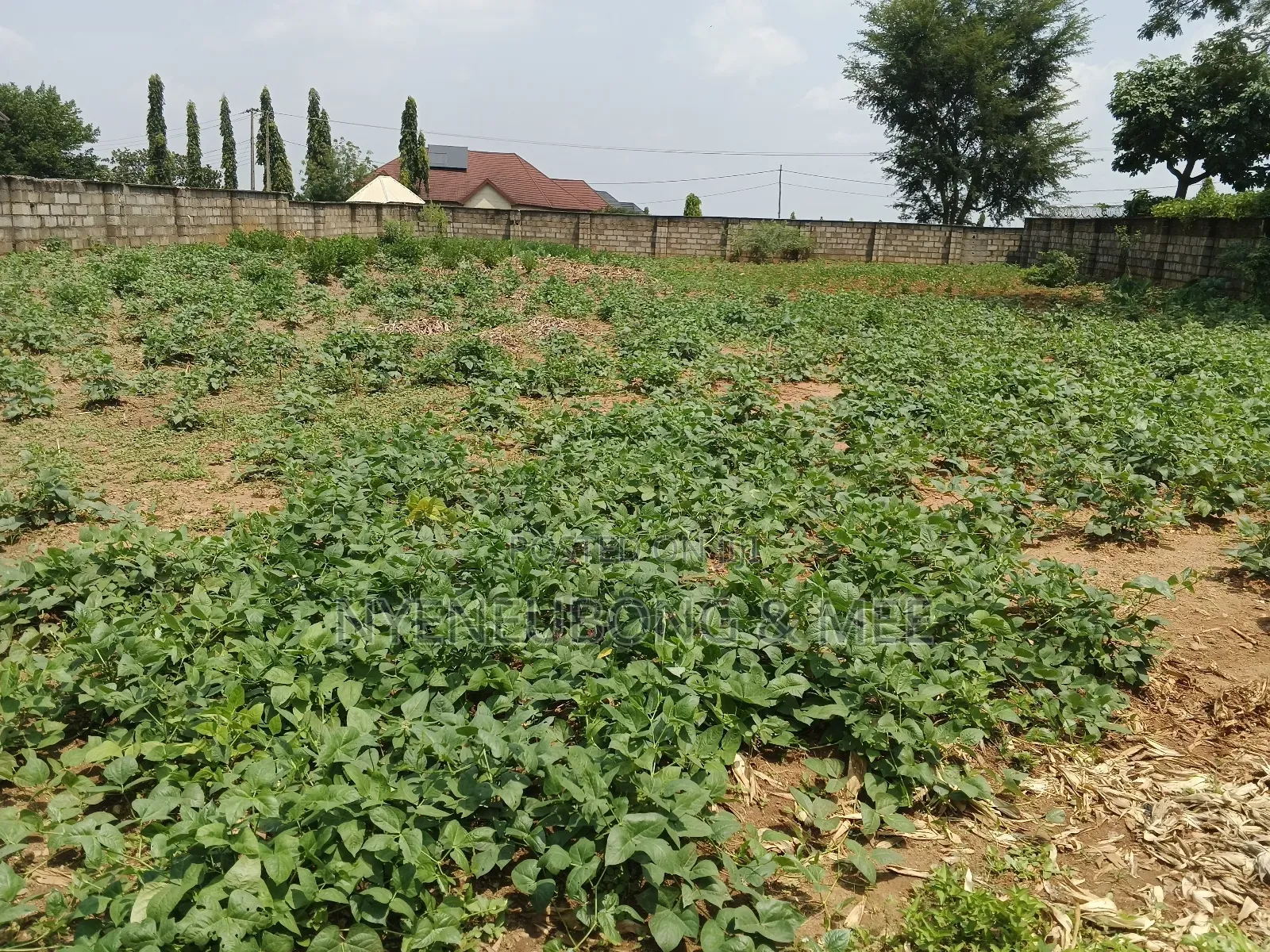 1500sqm Land for Sale