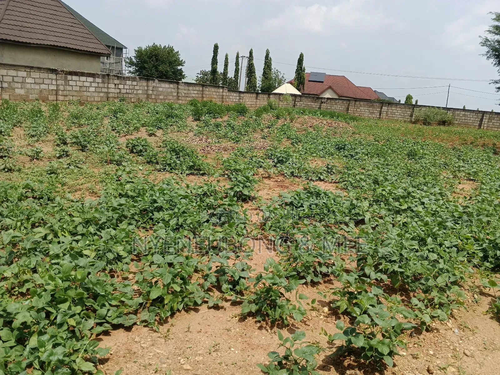 1500sqm Land for Sale