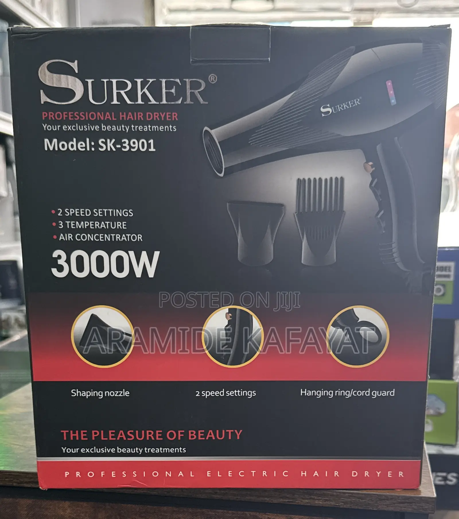Professional Hair Dryer