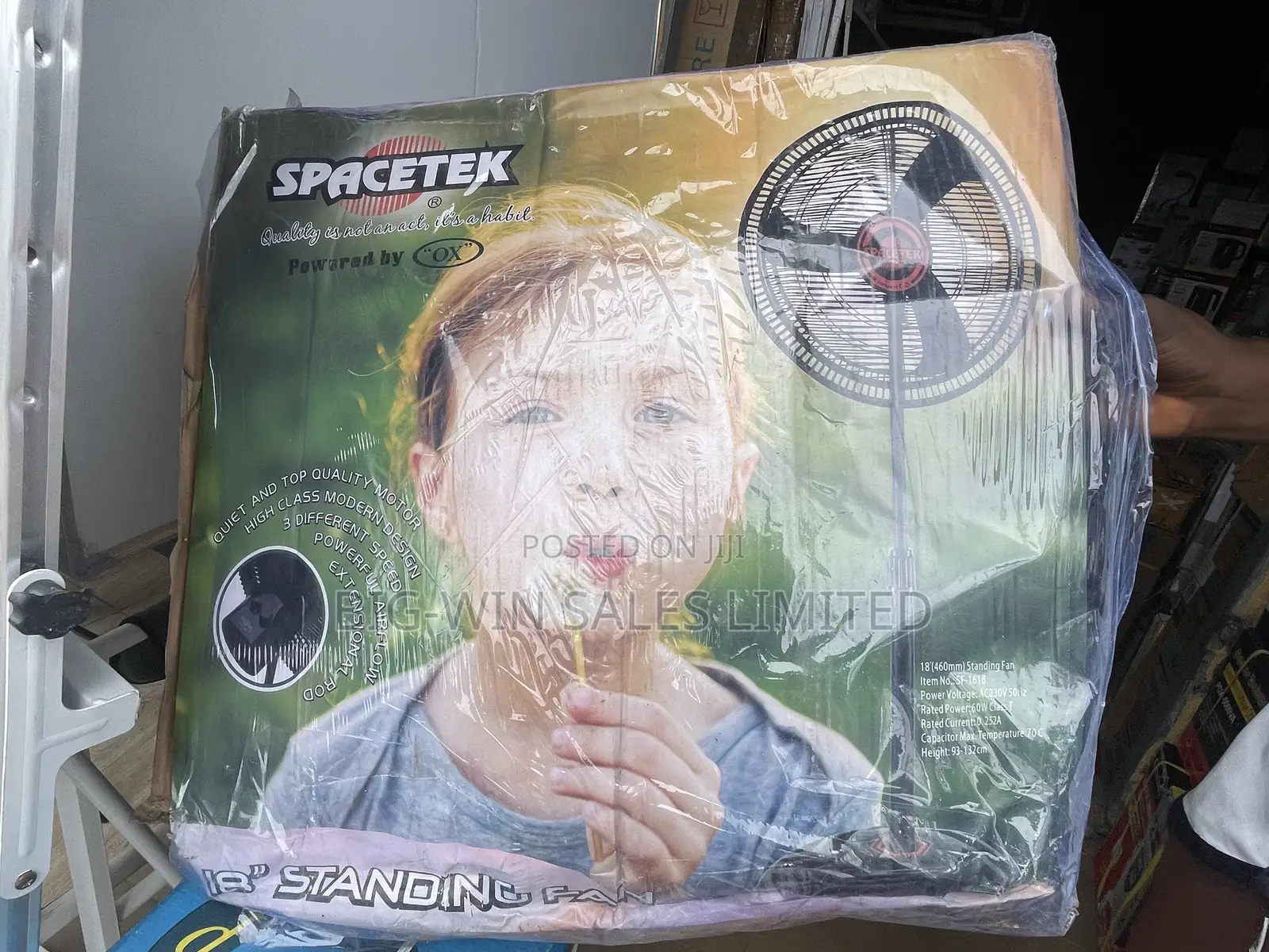 Spacetek Standing Fan