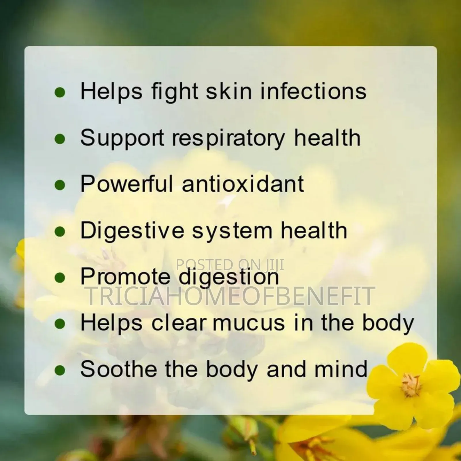 🌿 Mullein Leaf Tea – Natural Lung Cleanser