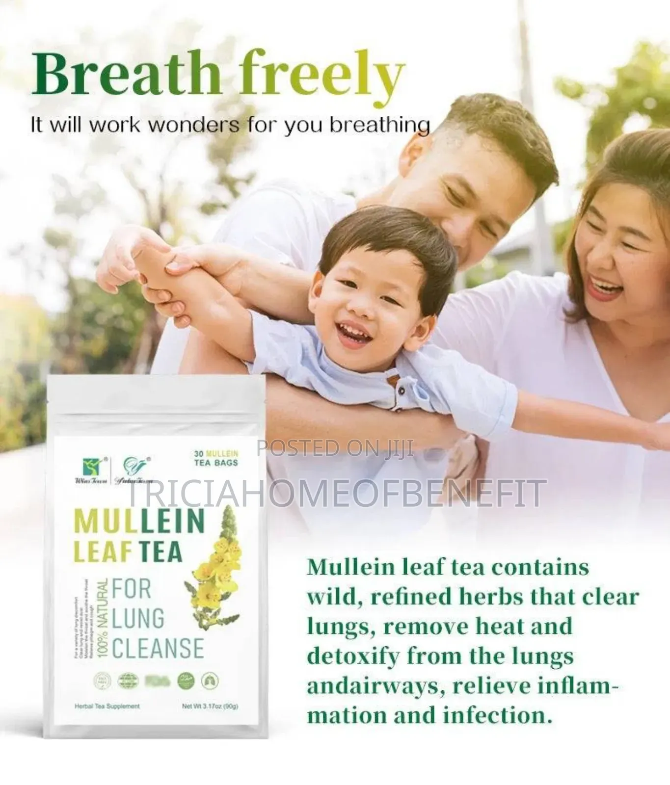 🌿 Mullein Leaf Tea – Natural Lung Cleanser