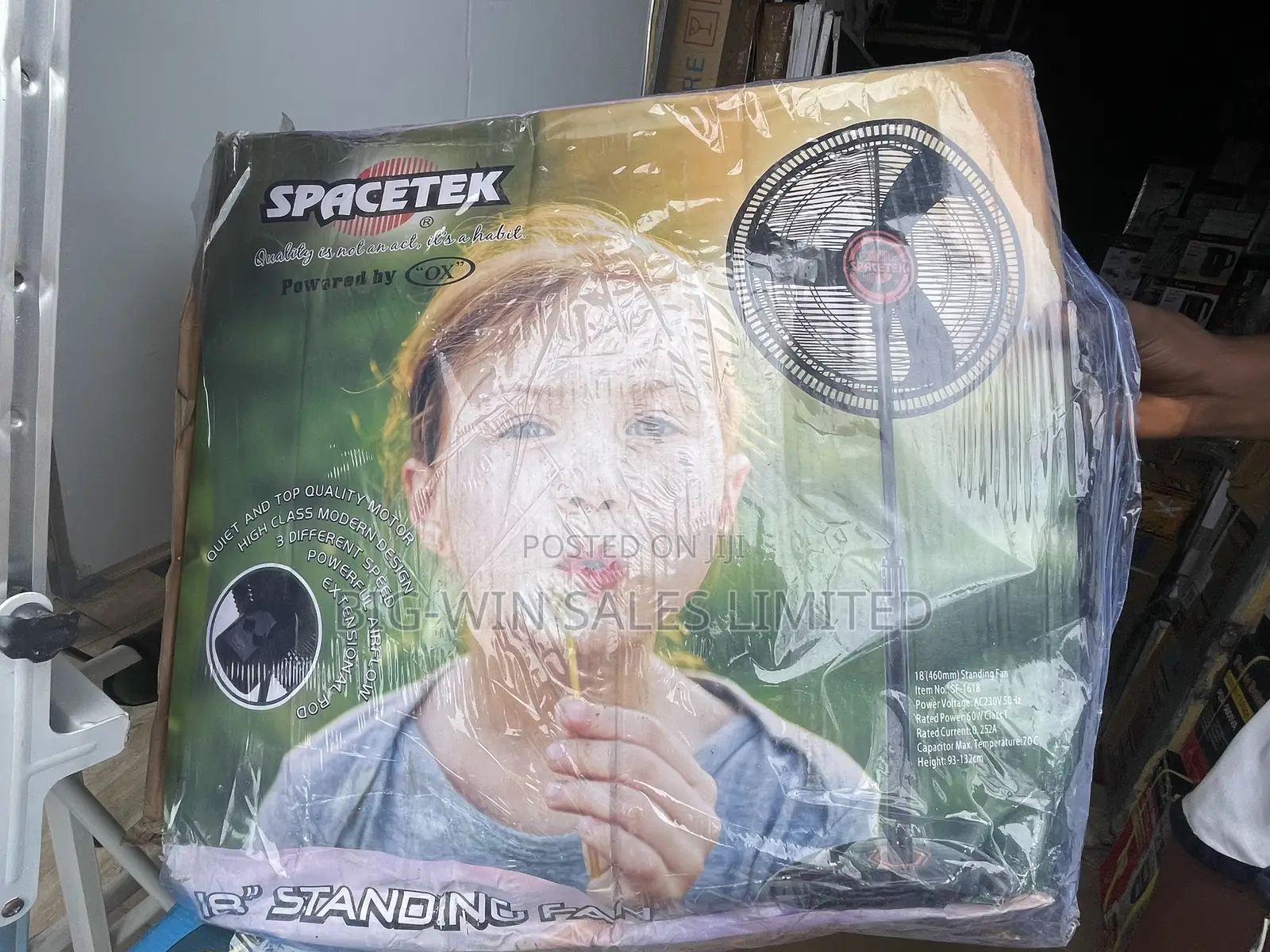 Spacetek Standing Fan